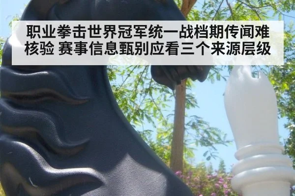 职业拳击世界冠军统一战档期传闻难核验 赛事信息甄别应看三个来源层级